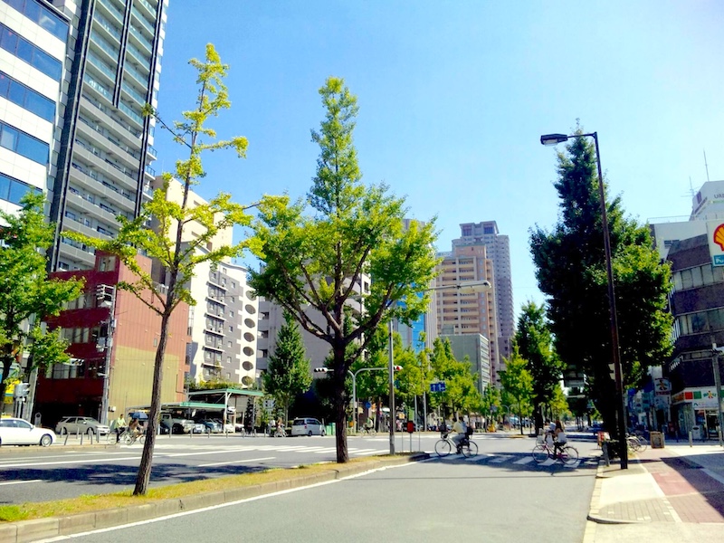 会社周辺の風景